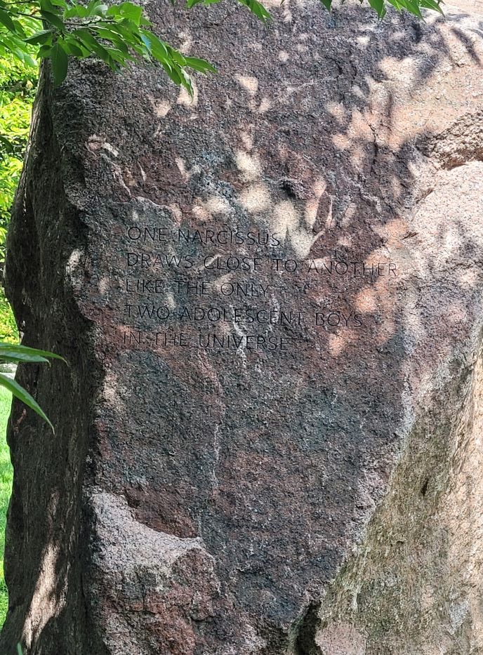 resized narcissus stone