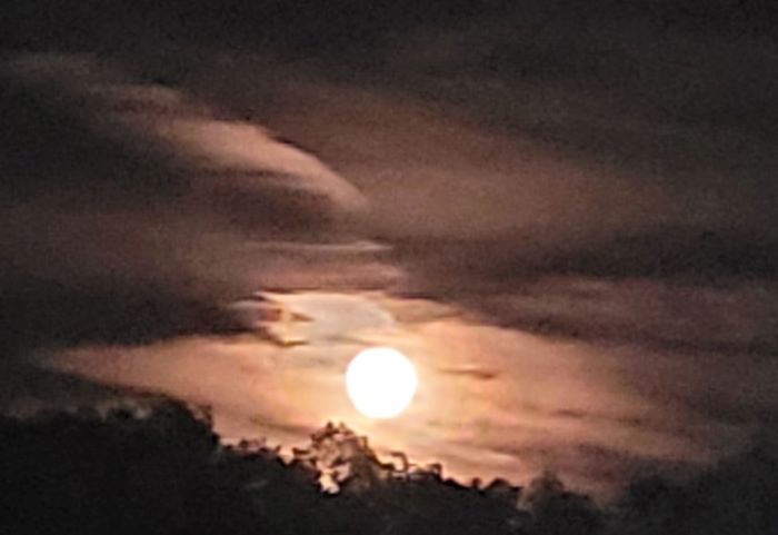 resized 20220910_211804 (2) full moon 091022
