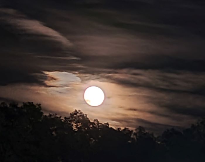 resized 20220910_211831 (2) full moon 2 091022