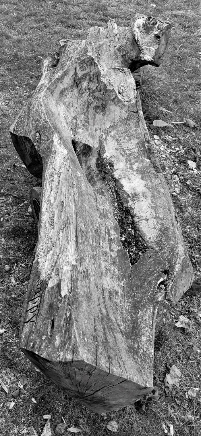 resized greyscale Carved sculpture at Blandford Farm 0822 (2)