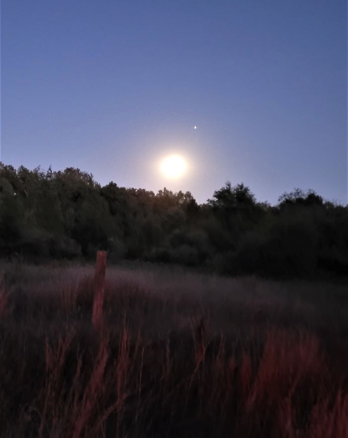 resized full moon at dusk 2 20221008_195039 (3)