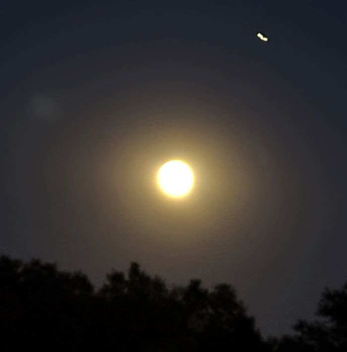 resized full moon night 1 20221008_195108 (2)