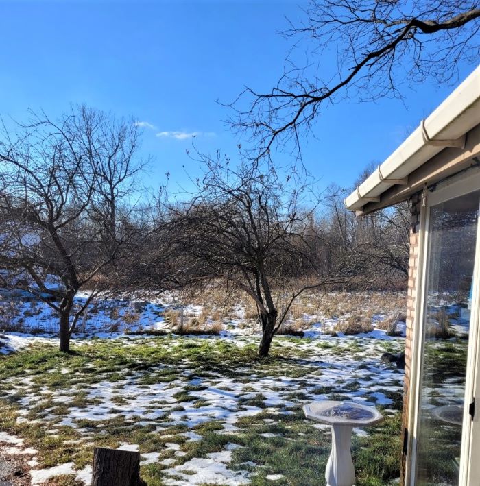 resized sunshine in november (2)