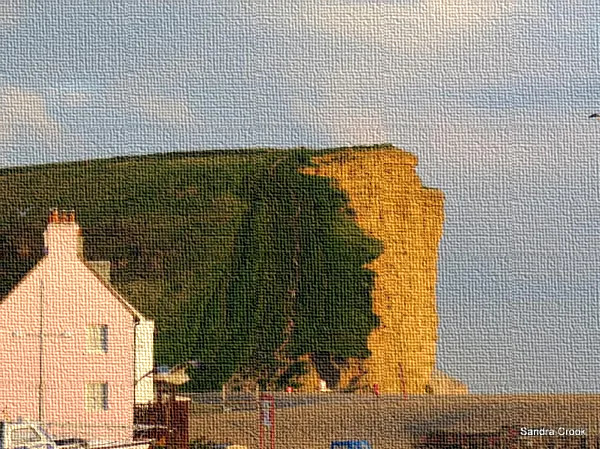 Sandra Crook edited image