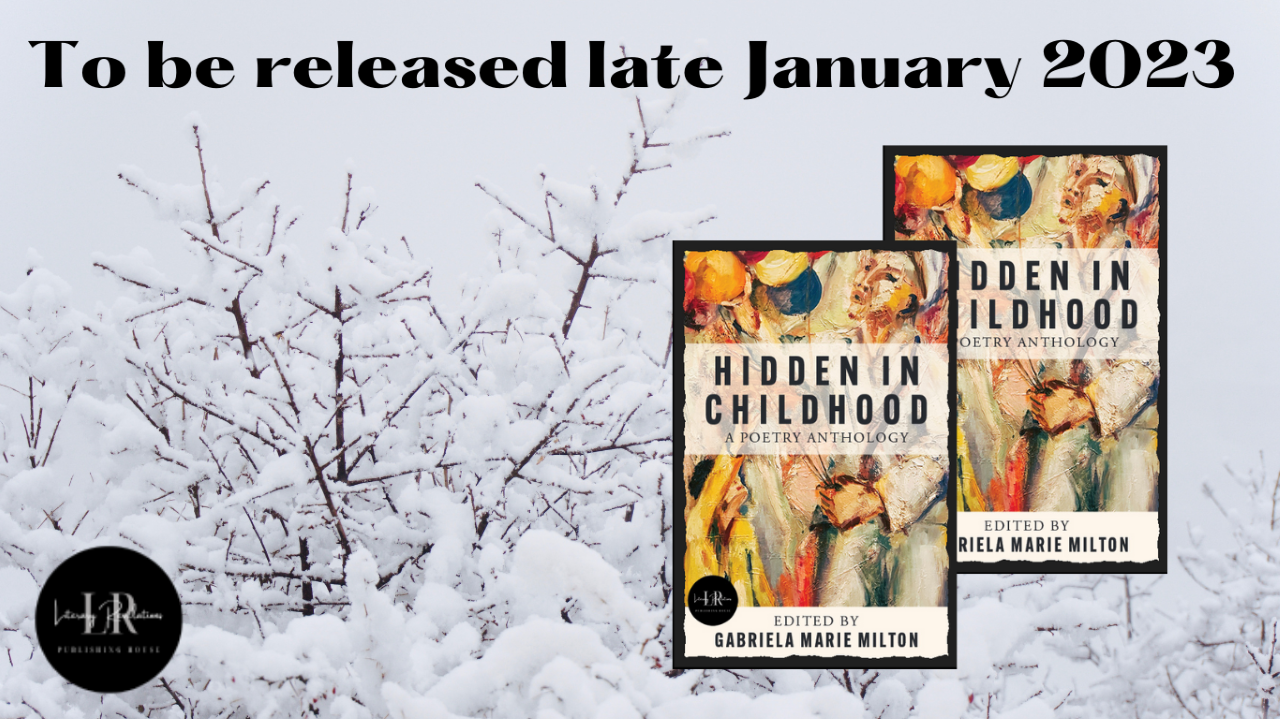 blog banner for book