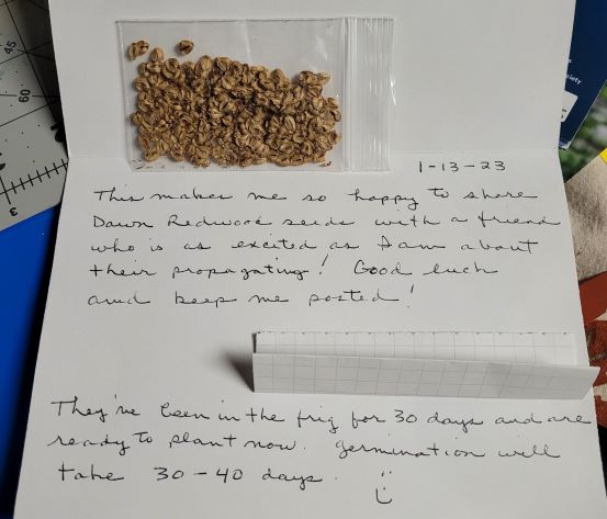 resized card from Shirley with dawn redwood seeds and instructions 011723