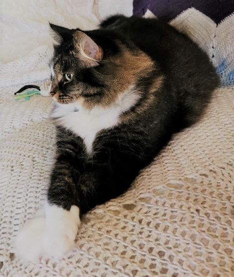 resized sitting pretty mlady 010423