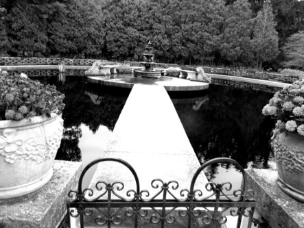 GEDSC DIGITAL CAMERA