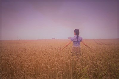 pex wheat field muse (3)