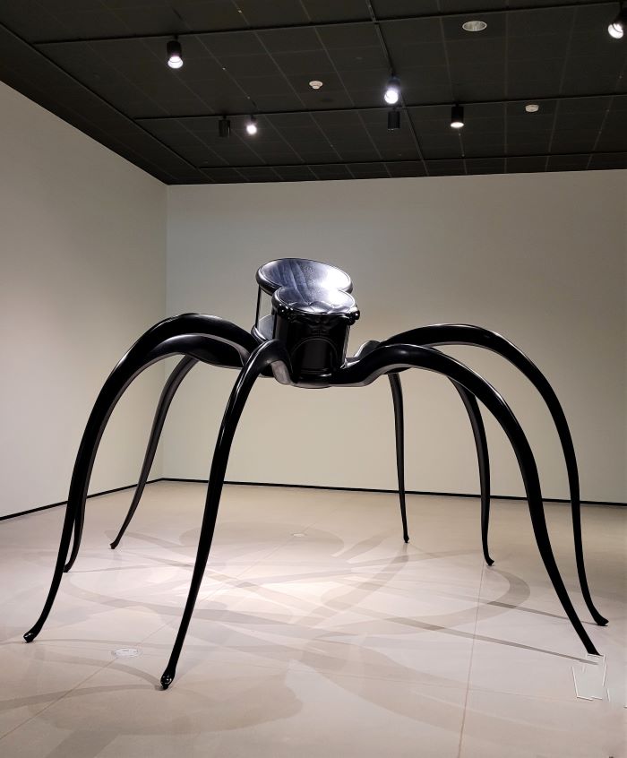 resized BIG spider 20230218_141731 (2)