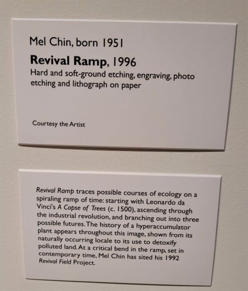 resized description revival ramp 20230218_141946 (2)