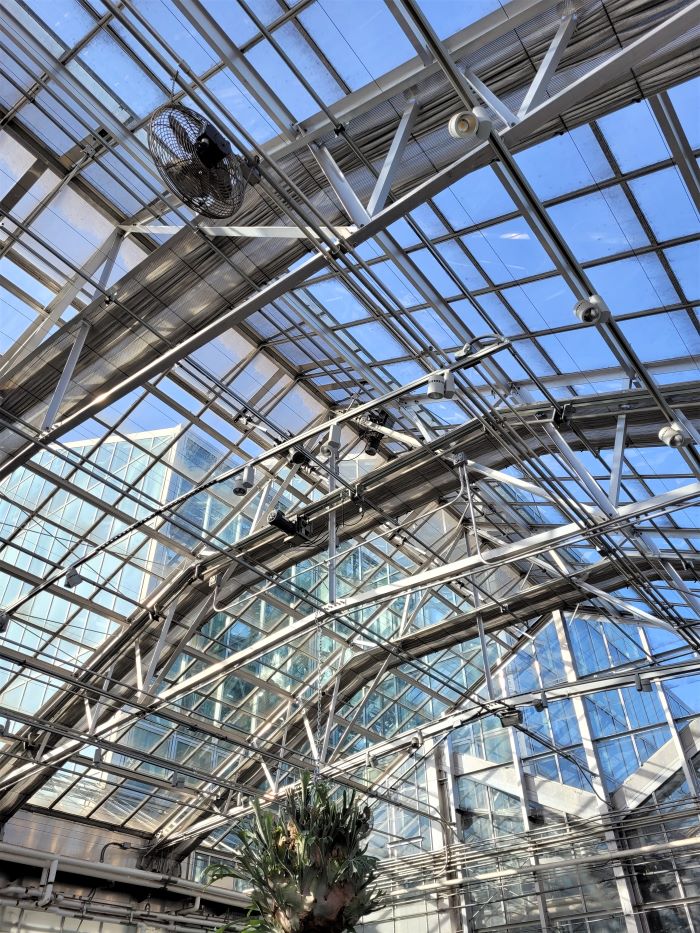 resized roof of FMG 20230218_154217 (2)