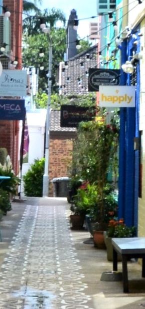 resized and cropped rowena-curtin-alley-rose-bay-sydney-1 (3)