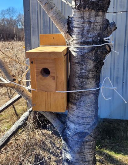 resized new birdhouse 1 030823 (2)