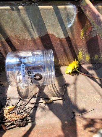 queen bumblebee gone 052023