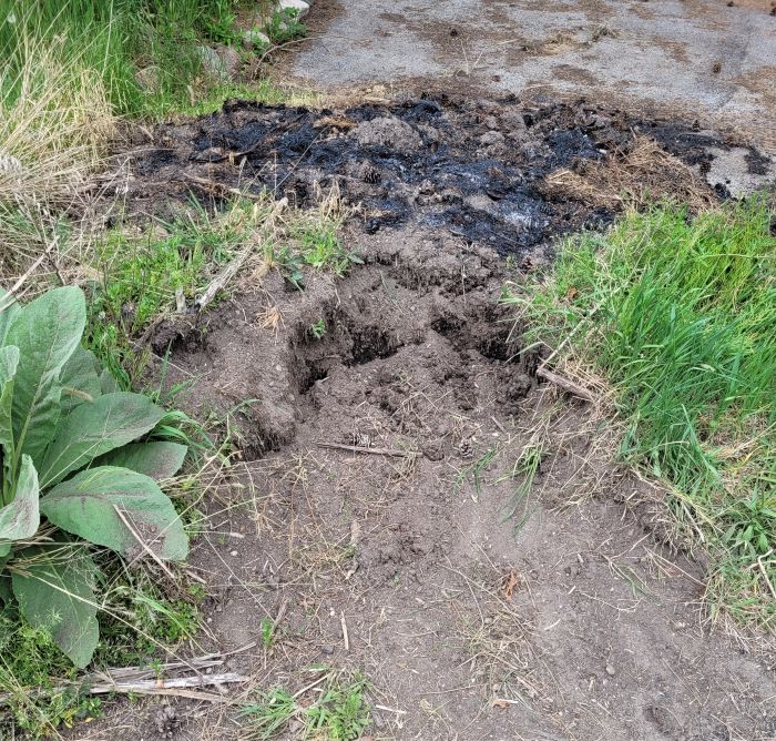 resized driveway dirt hill digging in the dirt 051223
