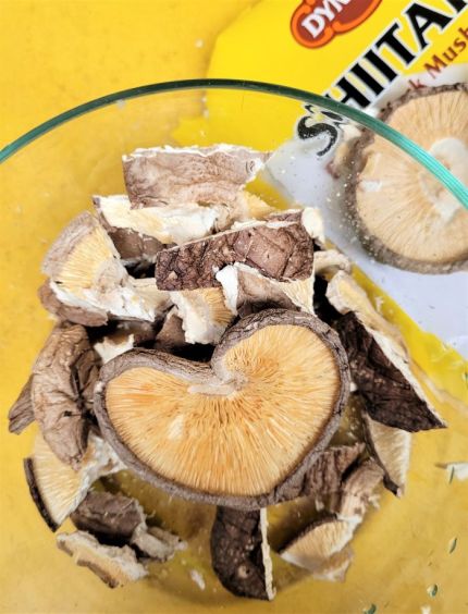 resized shiitake love 050523 (2)