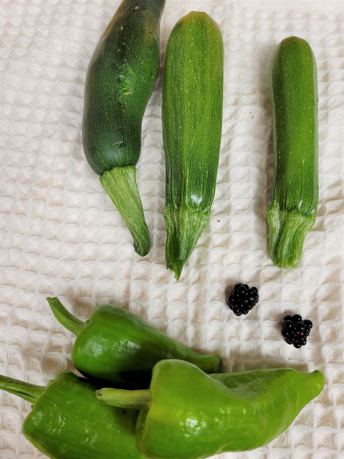 resized first food 071423