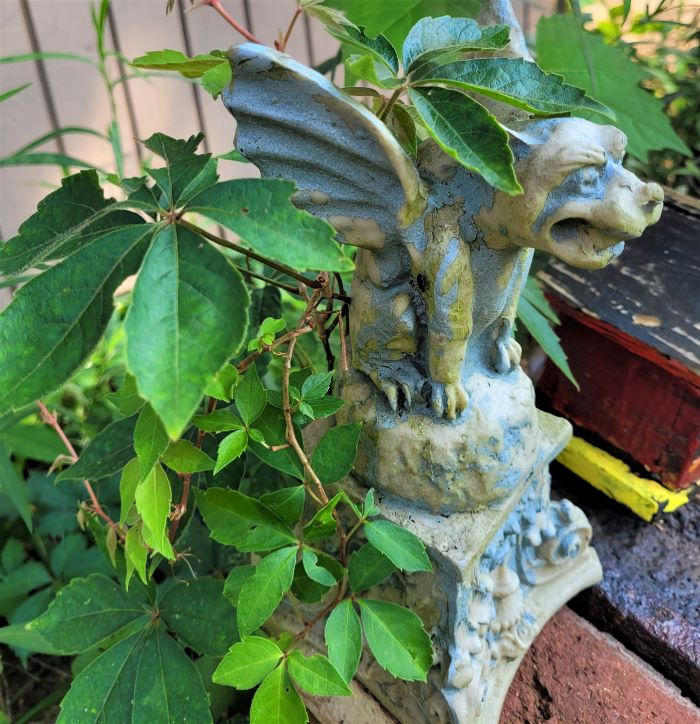 poison ivy on gargoyle (2)