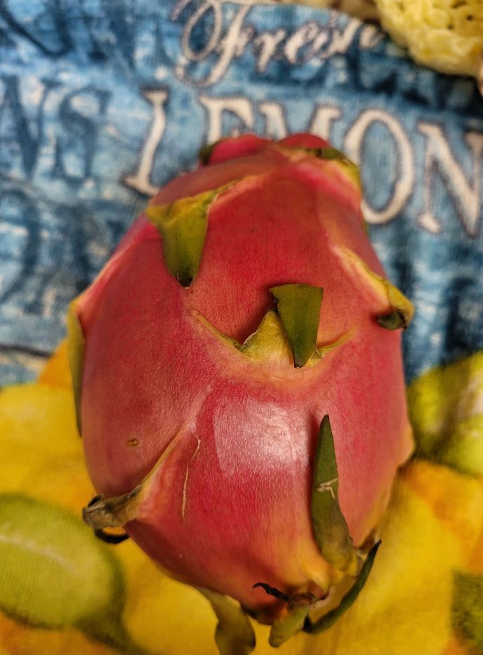 resized dragon fruit 081123