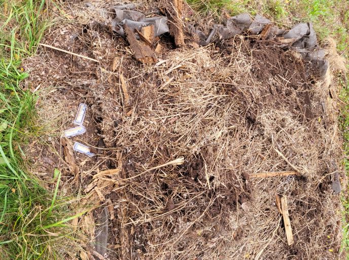 resized 01 old peony bed 20230919_165101