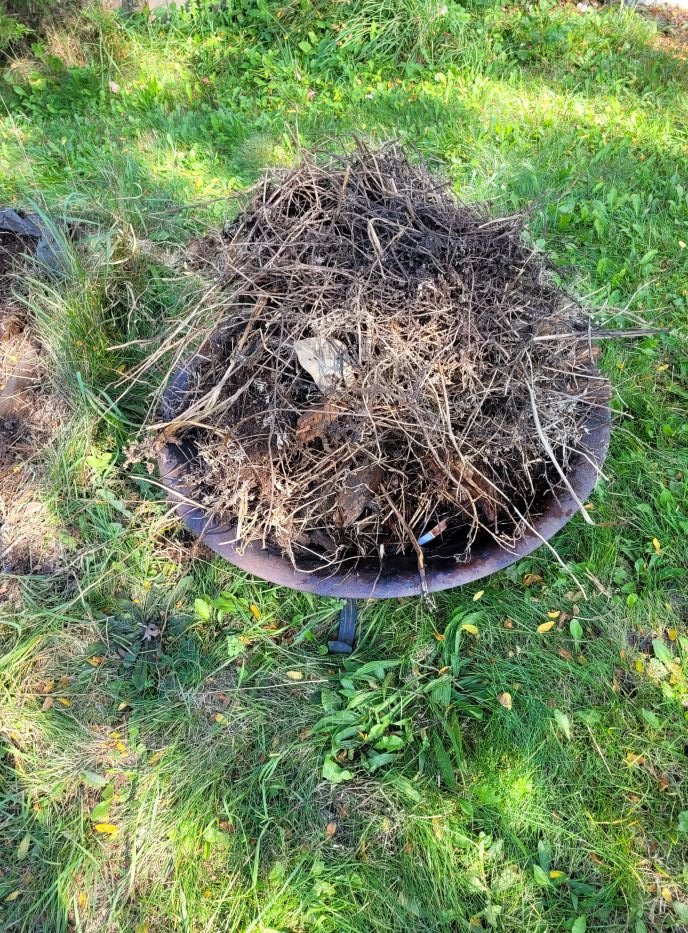 resized 02 detritus from old bed 20230923_163601