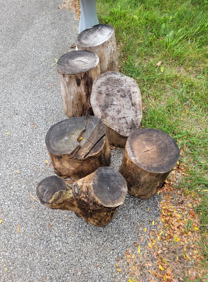 resized 09 logs debarked and rolled to driveway 20230919_164951