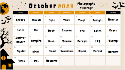 october-2023-photography-challenge-1