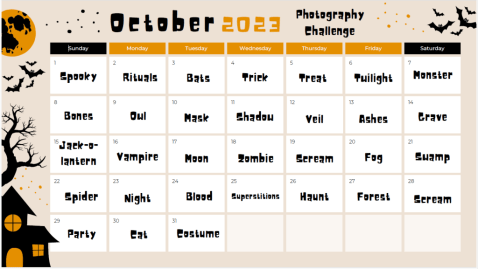 october-2023-photography-challenge-1