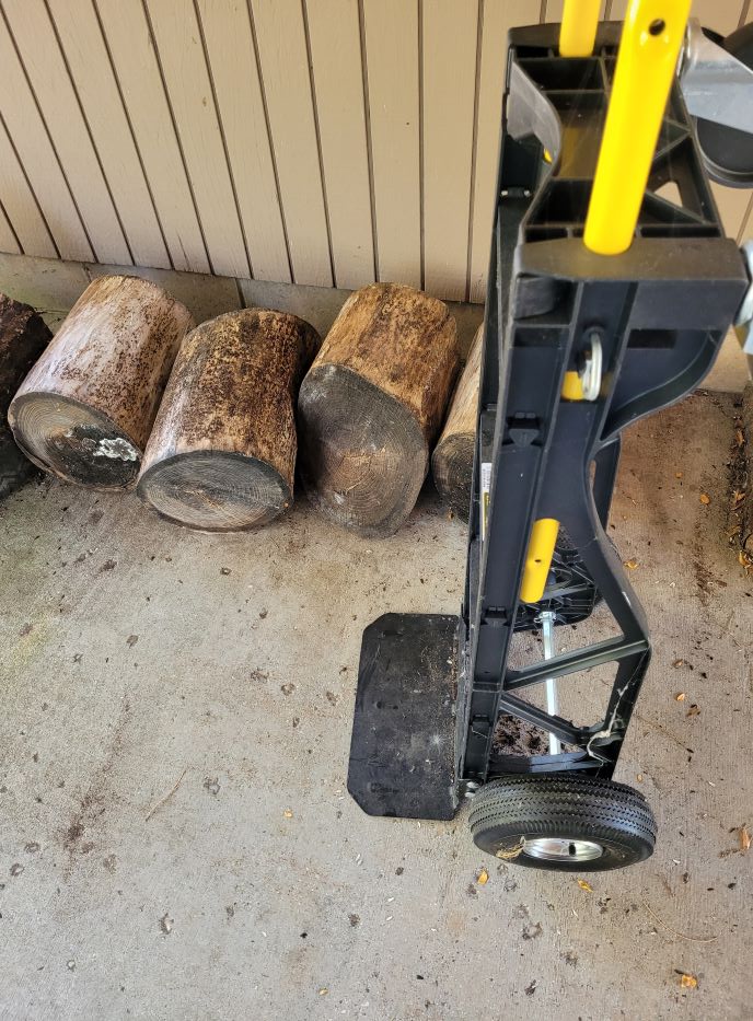resized moving logs with dolly 100123 20231001_143940