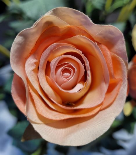 resized silk rose closeup 20231005_164324