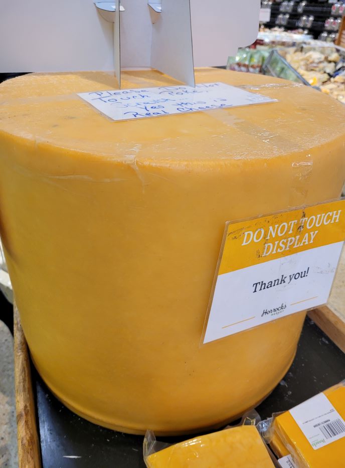 resized giant block of cheese 20231114_160232
