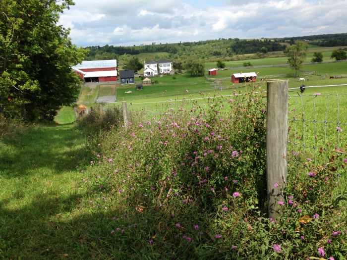 FF 012424 jordanville-farm