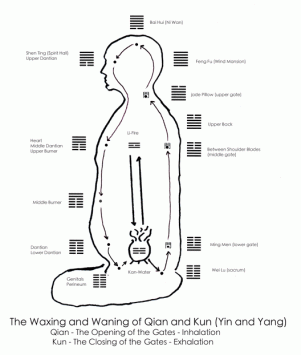qigone microcosmic orbit