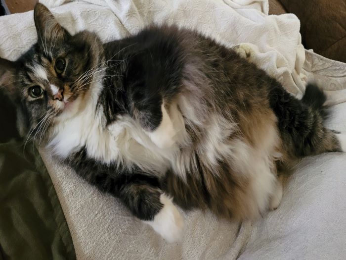 resized mlady looking cute 1 20240108_125944