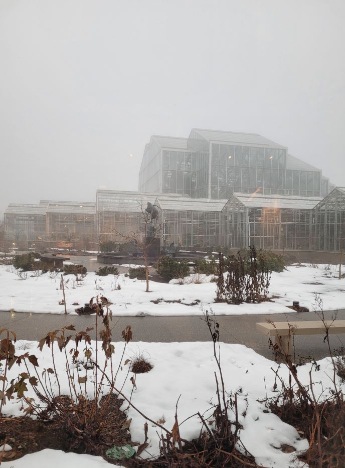 fmg in fog 20240130_165342