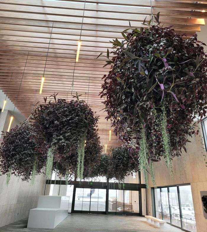 resized entrance FMG 20240130_160509