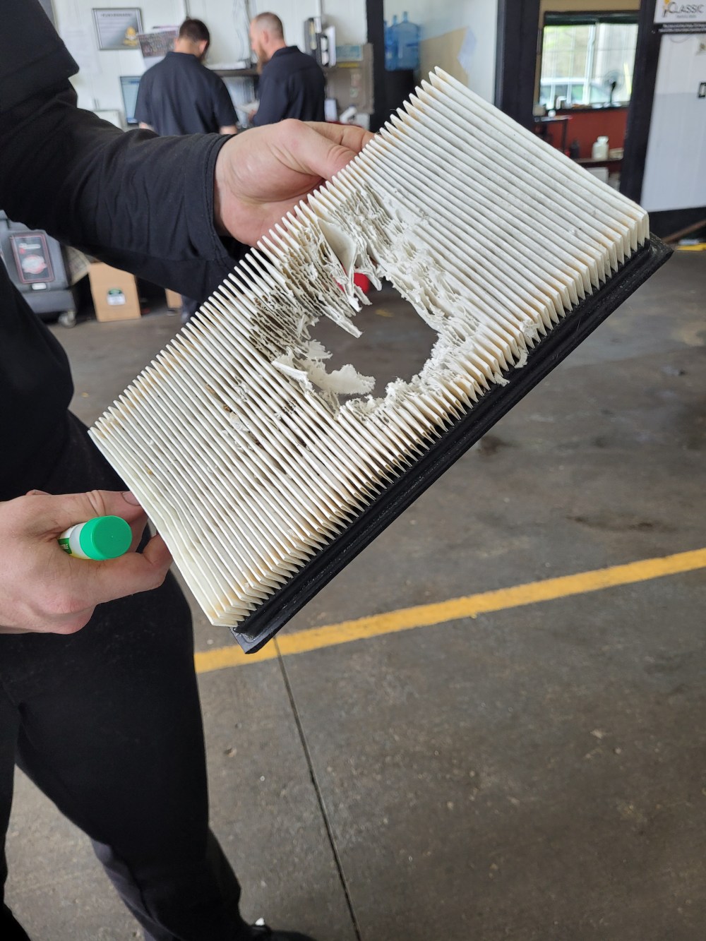 one big mouse 20240417_135333