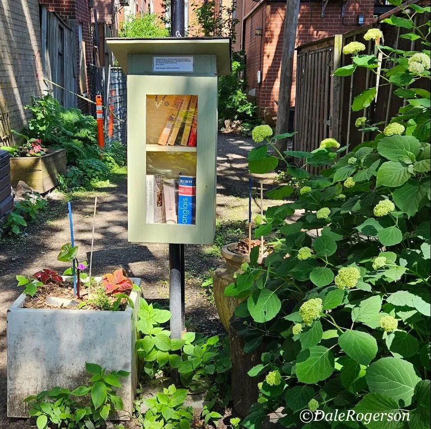 FF 062824 lending-library