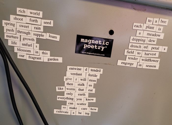 resized botanical trio on desk 20240615_110958