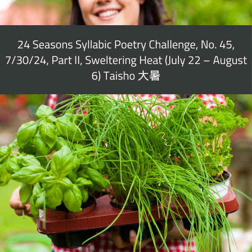 TT 073024 TankaTuesday-challenges-4