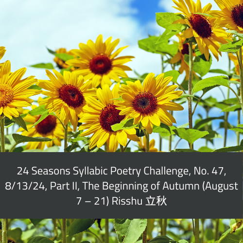 TT 081324 TankaTuesday-challenges-1