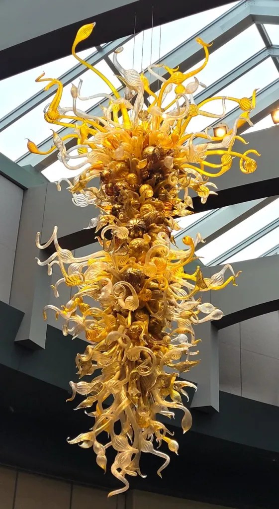 TT 082824 resized-chihuly-20240702_182852