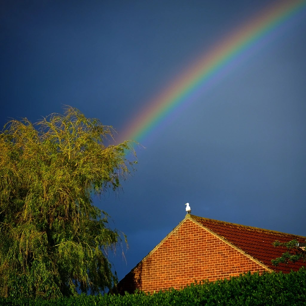 FF 100924 peters-rainbow