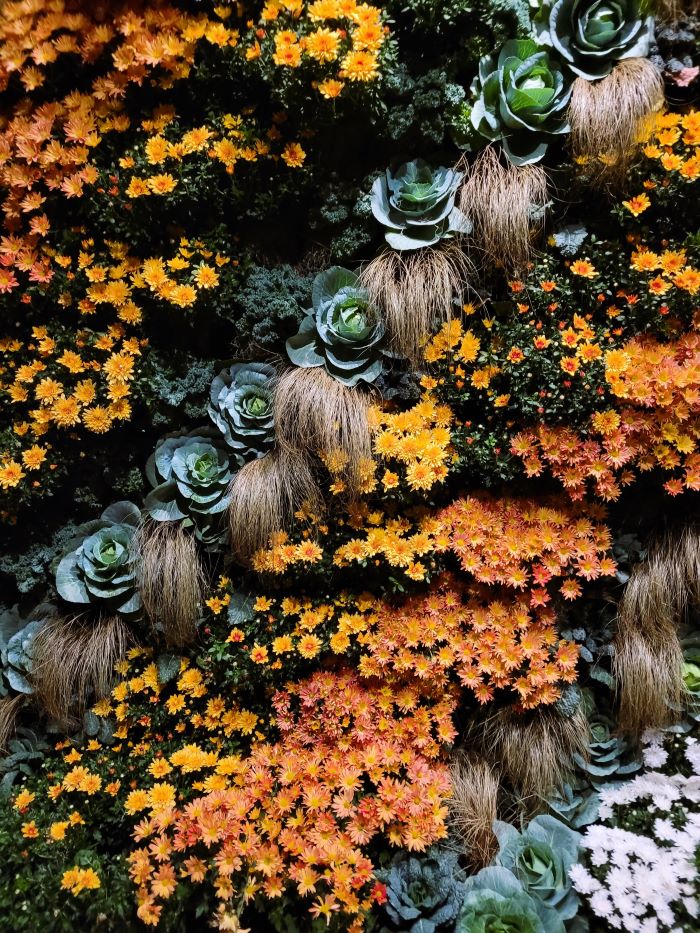 resized mum wall art at fmg 20241015_200351