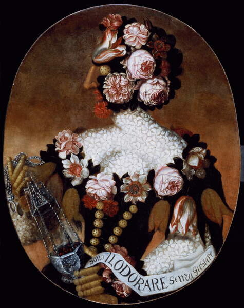 the-sense-of-smell-i102429